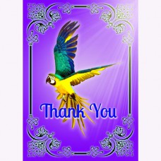 GREETING CARD BIRDS The Messenger